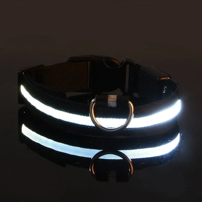 Dog Collar Nylon LED Glow Night Safety Leash Luminous Flashing Pet Accessories