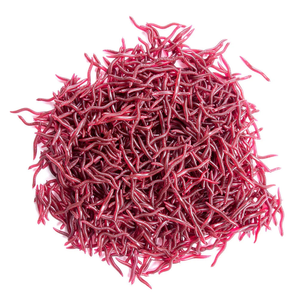 50Pcs Fishing Lures Soft Baits Artificial Worms 8cm Trout Tackle