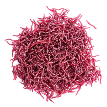 50Pcs Fishing Lures Soft Baits Artificial Worms 8cm Trout Tackle