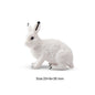Wolf Animal Model Toy Figurine Lifelike Educational Action Figures