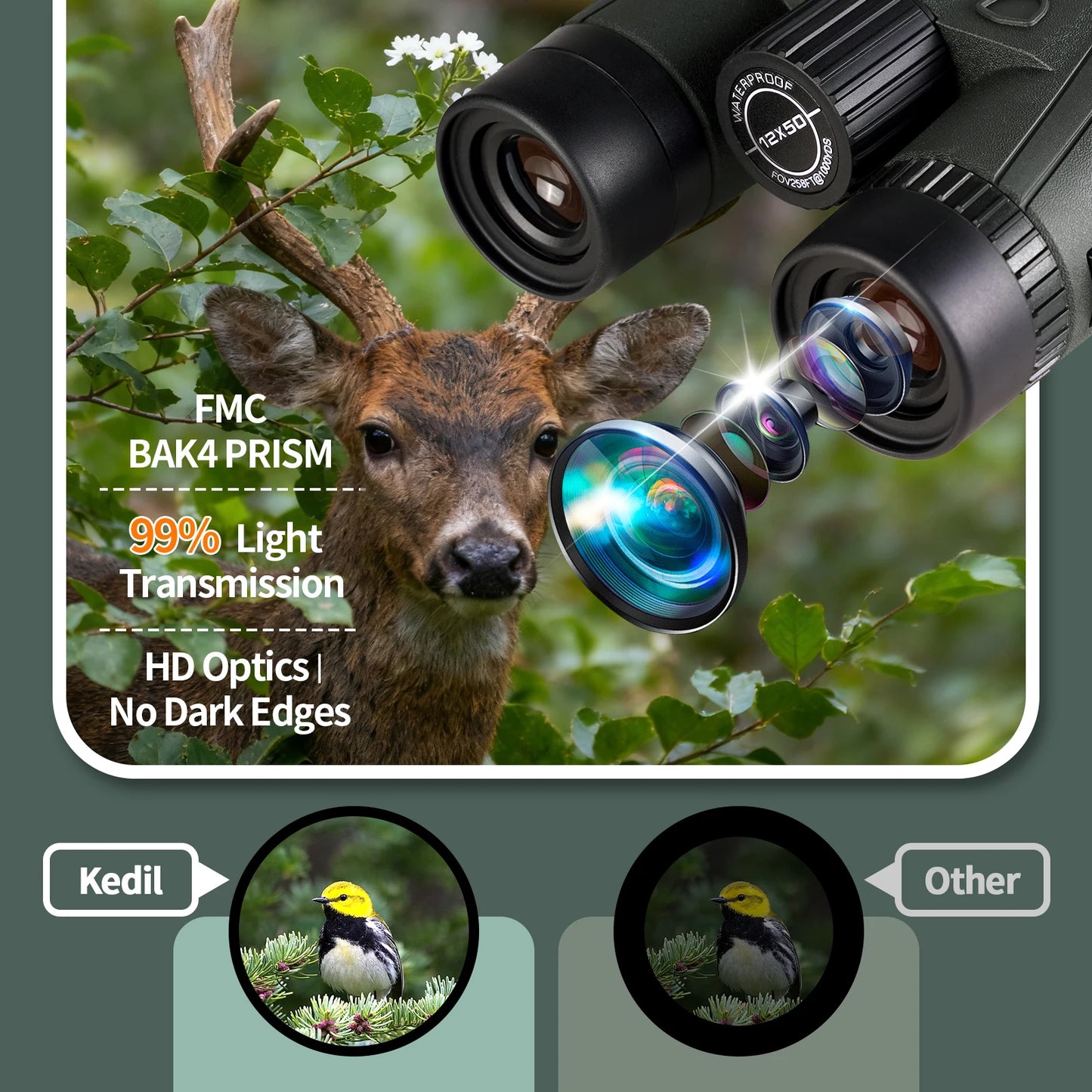 12x50 ED HD Binoculars IPX7 Waterproof BAK4 Prism Bird Watching Travel