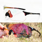 Photochromic Cycling Sunglasses TR90 Auto Lens MTB Road Bike Sports Eyewear