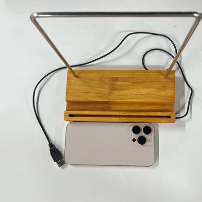 Now Playing Record Display Stand LED Acrylic Holder for Vinyl Albums