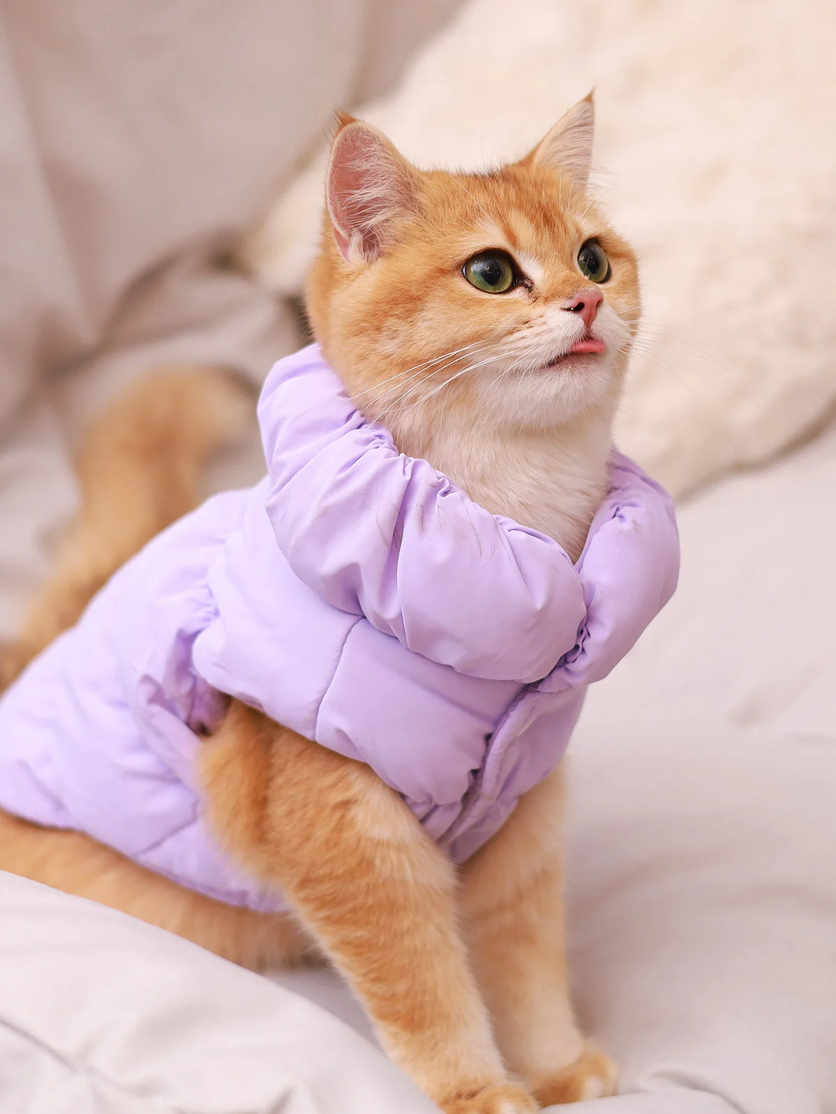 Dog Jacket Waterproof Warm Coat for Small Medium Dogs Autumn Winter