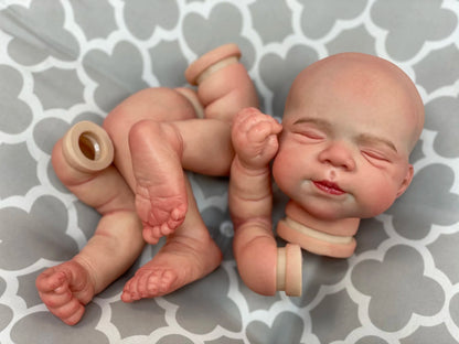 48cm Reborn Baby Doll Kit Pascale 3D Painted Skin Visible Veins Soft Touch