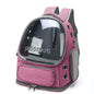 Transparent Cat Carrier Bag Backpack for Small Dogs Outdoor Travel Pet
