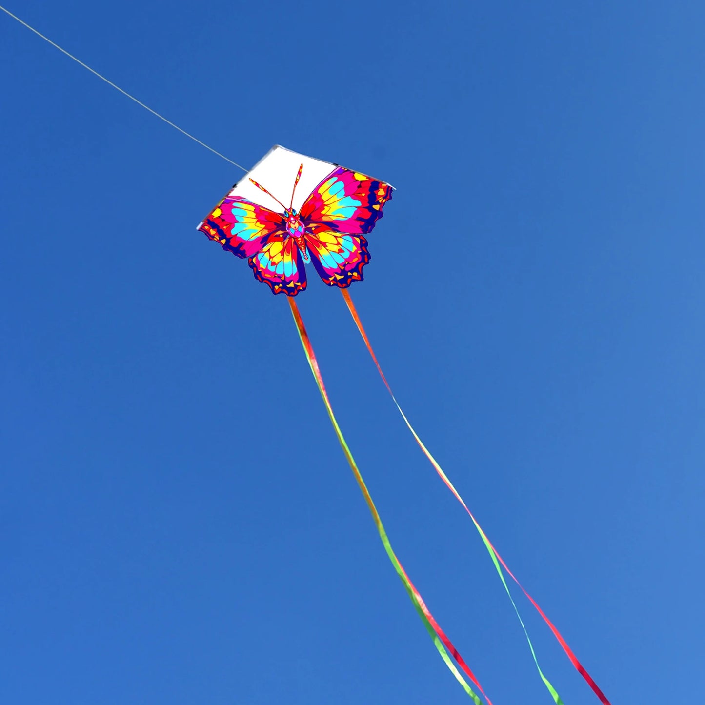 Butterfly Kite for Kids & Adults - Easy to Fly with String - Outdoor Fun