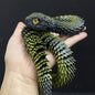3D Printed Snake Egg Creative Decompression Mold Movable Rotatable Action Figure