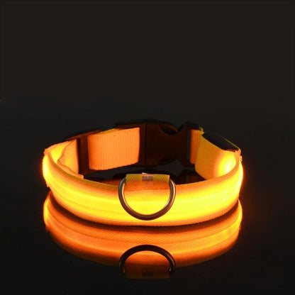 Dog Collar Nylon LED Glow Night Safety Leash Luminous Flashing Pet Accessories