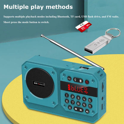 Mini Bluetooth Speaker Portable FM Radio USB TF Card Player