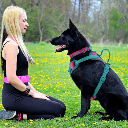 Adjustable Chest Strap Dog Harness No Pull Padded Reflective Breathable Vest