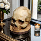 Kitchen Knives Holder Skull Resin Stand Horror Decor Storage Rack