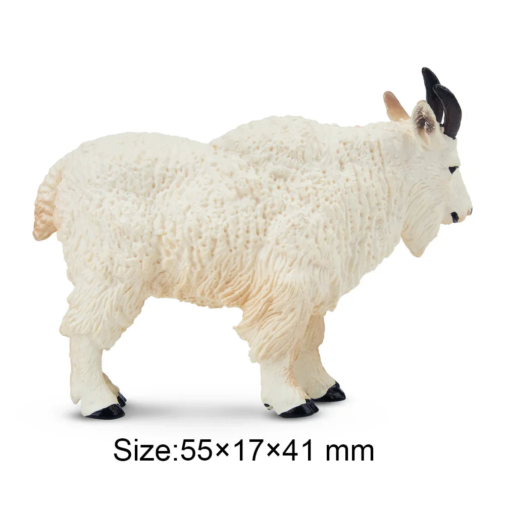 Toymany Simulation Cougar Wildlife Animal Model Mini Figures Figurines