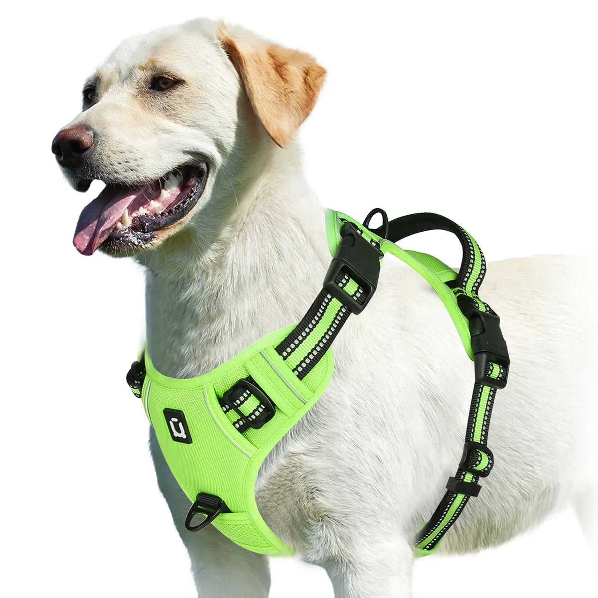 Adjustable Soft Padded Dog Harness with Handle No Pull Pet Vest