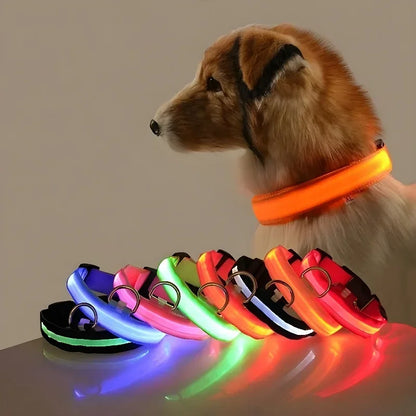 Dog Collar Nylon LED Glow Night Safety Leash Luminous Flashing Pet Accessories