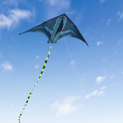 2m Delta Kite for Outdoor Fun - Huge Easy Flyer for Kids & Adults