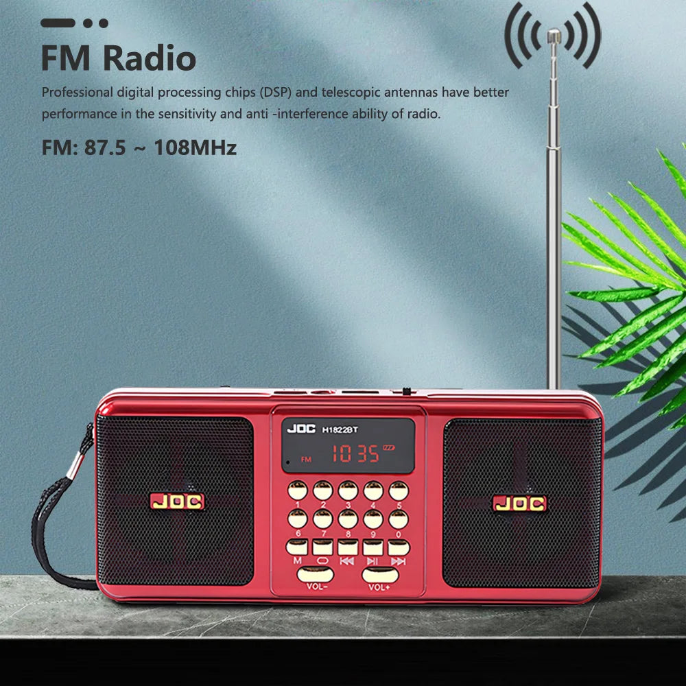 Portable FM Radio Speaker Bluetooth MP3 Player USB Rechargeable Digital