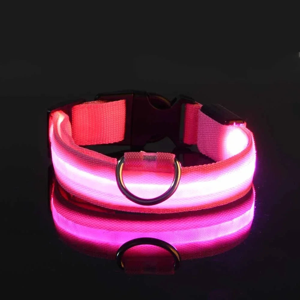 Dog Collar Nylon LED Glow Night Safety Leash Luminous Flashing Pet Accessories