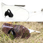 Photochromic Cycling Sunglasses TR90 Auto Lens MTB Road Bike Sports Eyewear