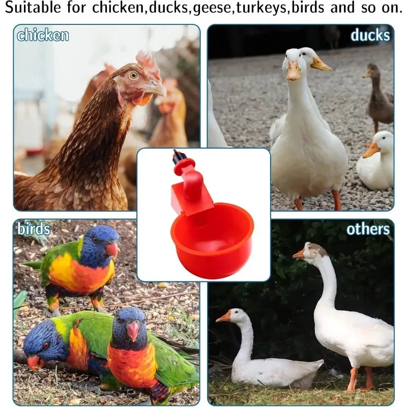 20Pcs Chicken Drinking Bowl Automatic Water Dispenser Poultry Feeder Drinker