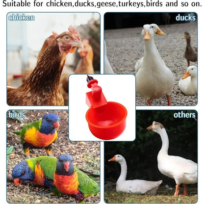 20Pcs Chicken Drinking Bowl Automatic Water Dispenser Poultry Feeder Drinker