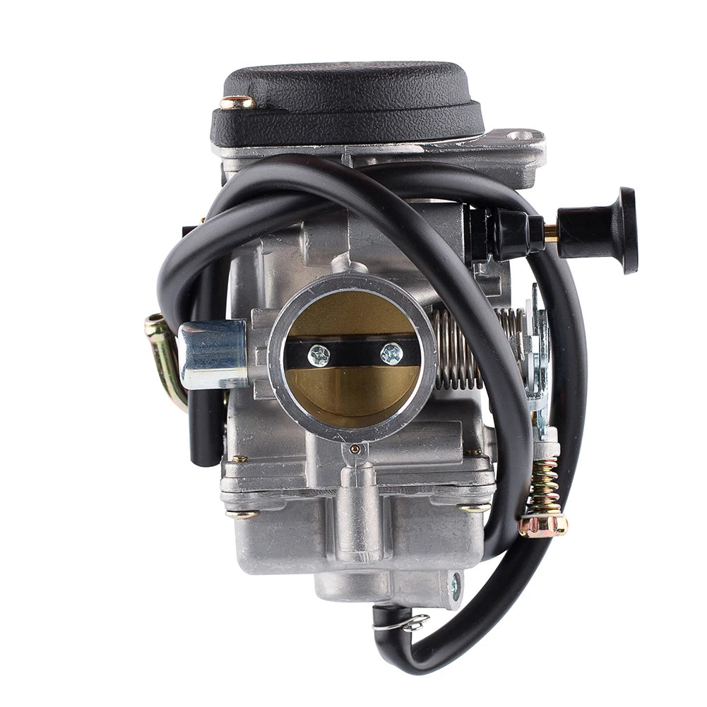 30mm Carburetor Manual Choke Compatible with Jianshe QingQi 250 ATV Quad
