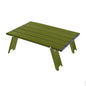 Mini Camping Table Ultralight Portable Aluminum Folding Outdoor Picnic BBQ