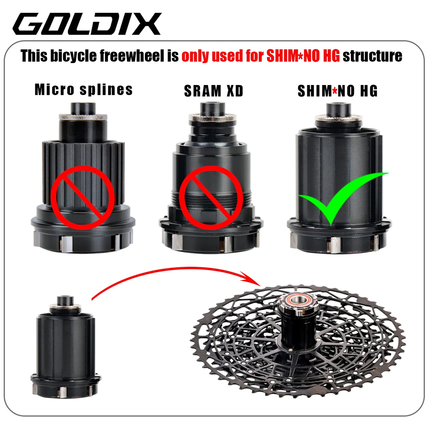 GOLDIX Mountain Bike Cassette 9 10 11 12 13 Speed HG Carbon Steel - EXPROTAS