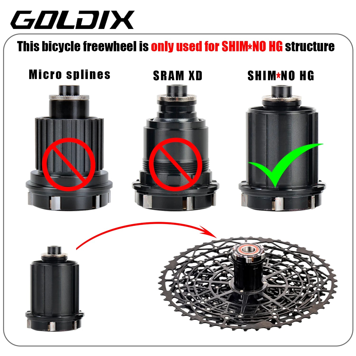 GOLDIX Mountain Bike Cassette 9 10 11 12 13 Speed HG Carbon Steel - EXPROTAS