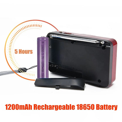 Portable FM Radio Speaker Mini USB Rechargeable Digital Player SD Music
