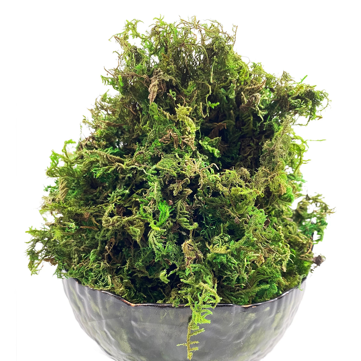 Artificial Moss Green for Potted Plants Orchid Potting Mix Craft