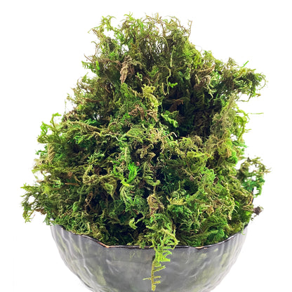 Artificial Moss Green for Potted Plants Orchid Potting Mix Craft