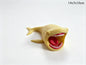 3D Printing Sea Eater Bloop Gran Maja Action Figure Model Toy 4pc
