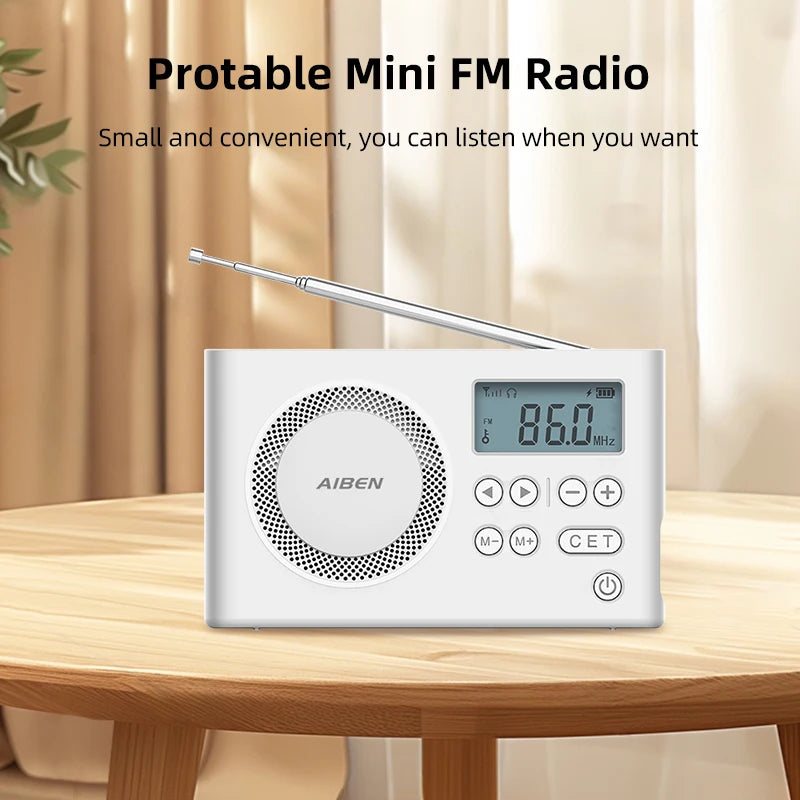 Portable Rechargeable Digital FM Port Device Speaker USB Handheld