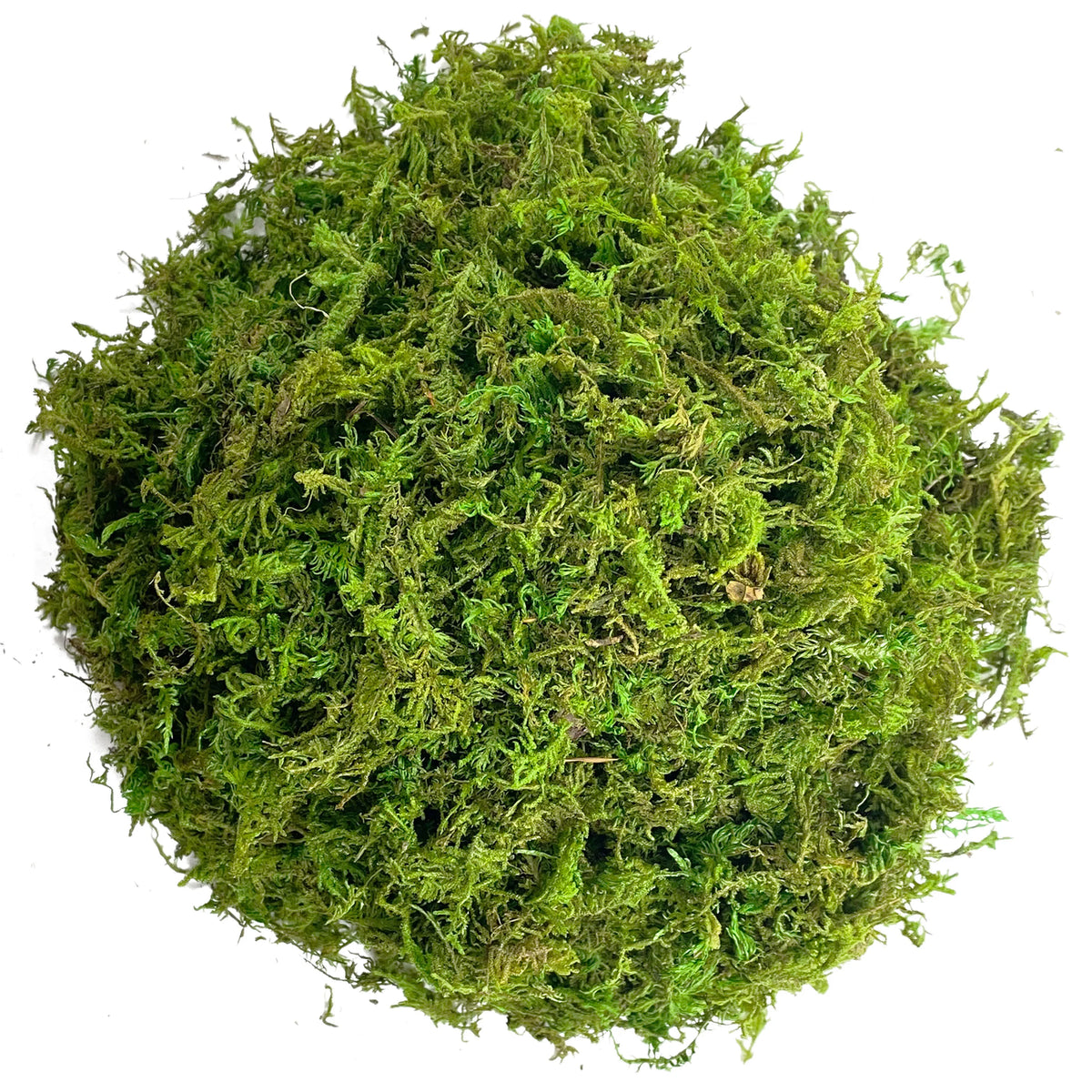 Artificial Moss Green for Potted Plants Orchid Potting Mix Craft