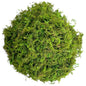 Artificial Moss Green for Potted Plants Orchid Potting Mix Craft