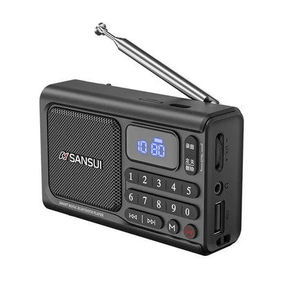 Wireless Bluetooth Speaker Portable Digital Music Player FM Radio