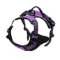 For Dogs Leather Collars Harness Vests Leash Puppy Accessories