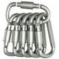 6PCS Outdoor Keychain Clip Carabiner Set for Camping EDC Survival Hiking