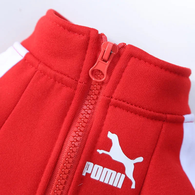 Baseball Dog Jacket for Small Medium Pets Winter Coat Clothing Outfit
