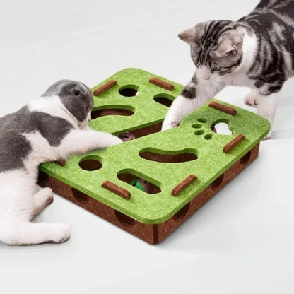 Interactive Maze Box Toy for Cats - Indoor Puzzle Game for Mental Stimulation