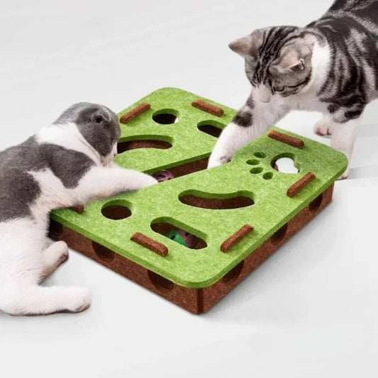 Interactive Maze Box Toy for Cats - Indoor Puzzle Game for Mental Stimulation