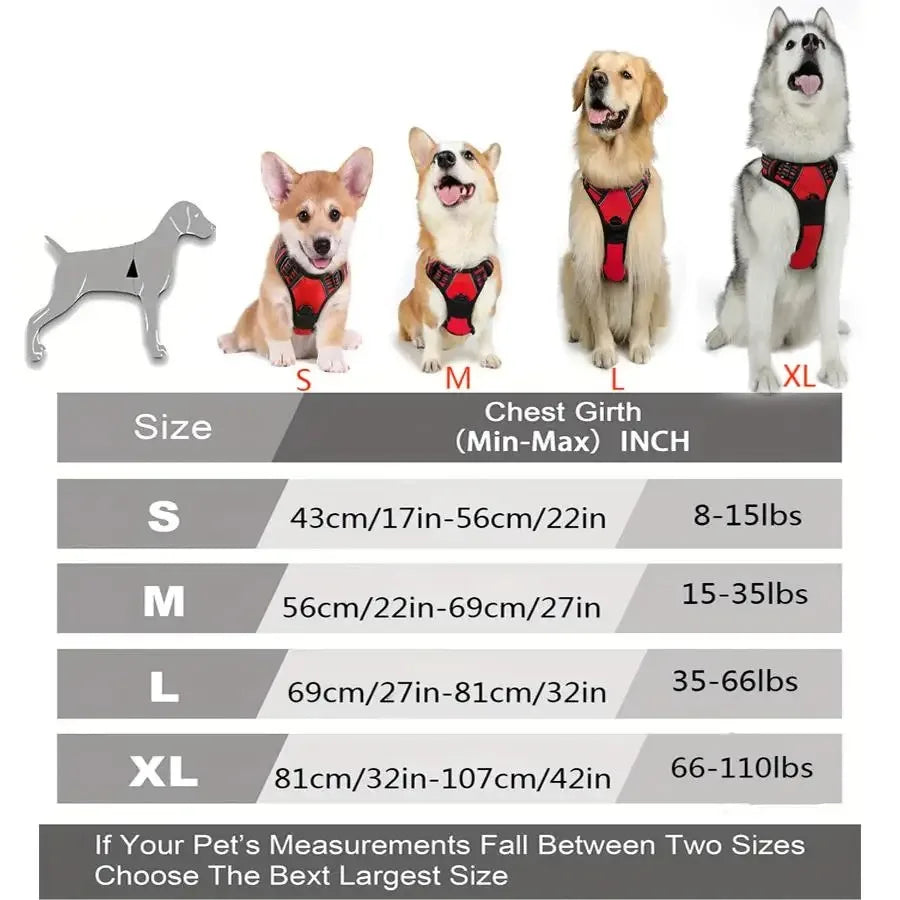 For Dogs Leather Collars Harness Vests Leash Puppy Accessories