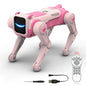 Smart RC Pet Remote Dog Toy Dancing Voice Control Robot for Kids Age 8+