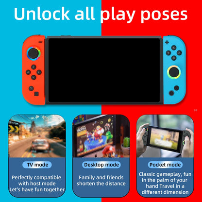 STORM WYRM Wireless Gamepad For Nintendo Switch 6-Axis Gyro Dual Vibration RGB