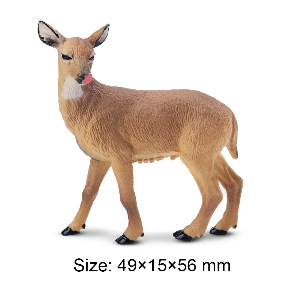 Toymany Simulation Cougar Wildlife Animal Model Mini Figures Figurines