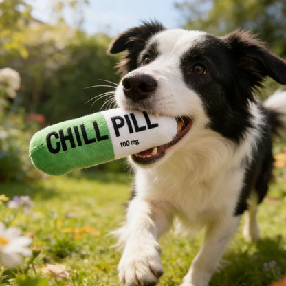 Pet Pill Indestructible Plush Dog Chew Toy with Squeaker for Play