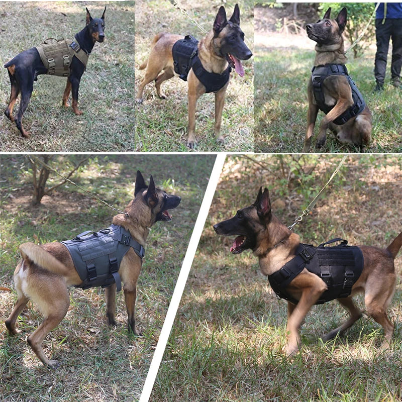 Tactical Military Vest Dog Harness & Leash Set for German Shepherds All Breeds