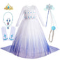 Disney Kids Frozen Birthday Party Princess Dress White Elsa Sequined Mesh Vestidos Halloween Cosplay Snow Queen Carnival Costume-EXPROTAS