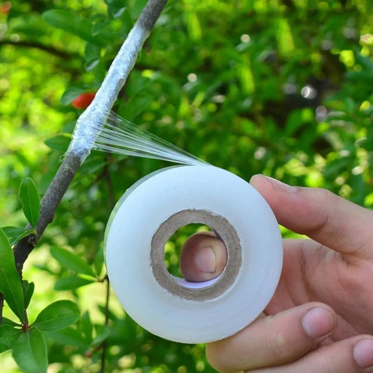Biodegradable Grafting Tape Plant Bind Belt Eco-friendly Gardening Membrane
